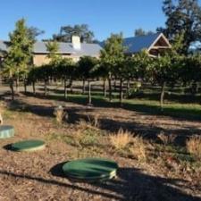 artesa-vineyards-winery-creative-septic-treatment-design 1